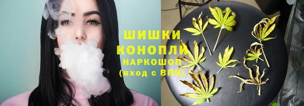 прущие крисы Арсеньев