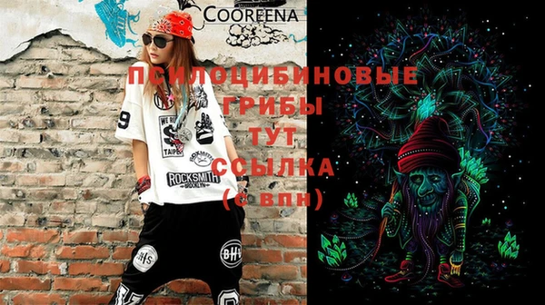 прущие крисы Арсеньев