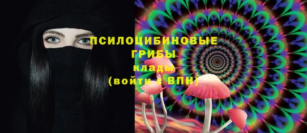 прущие крисы Арсеньев