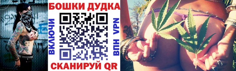 МАРИХУАНА гибрид  Теберда 